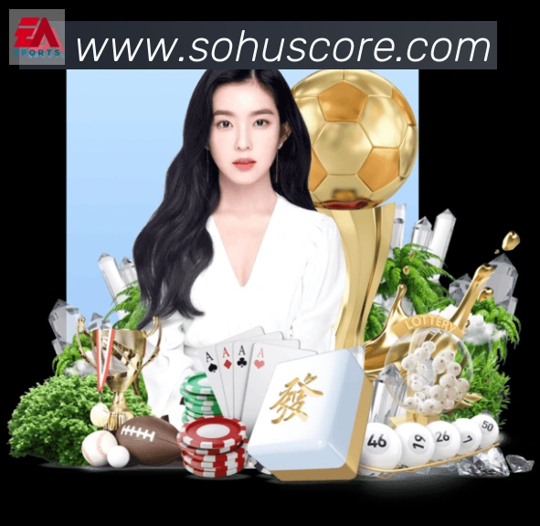 搜狐体育荣誉